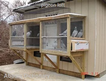 pigeon loft
